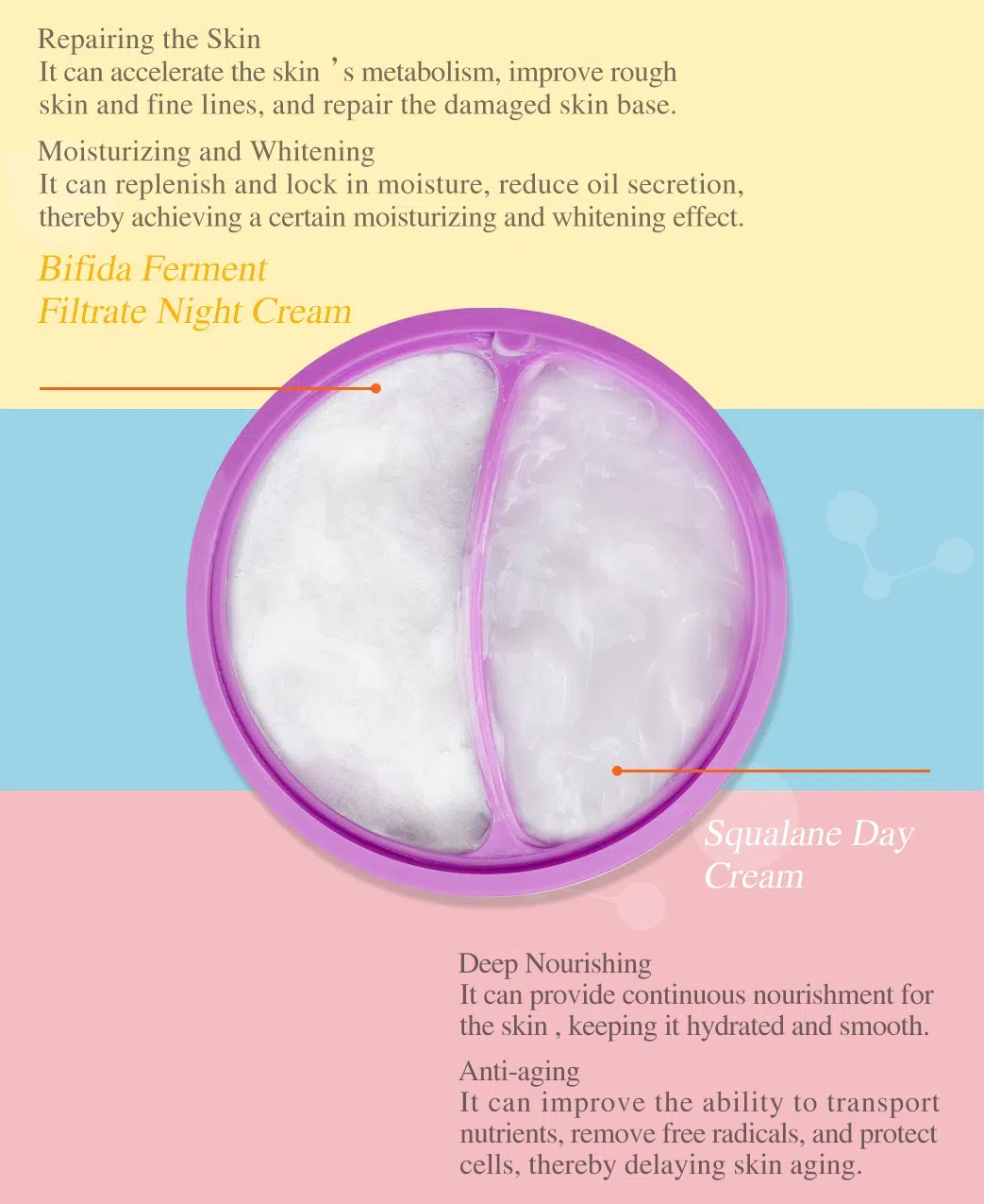 早晚霜詳情_09